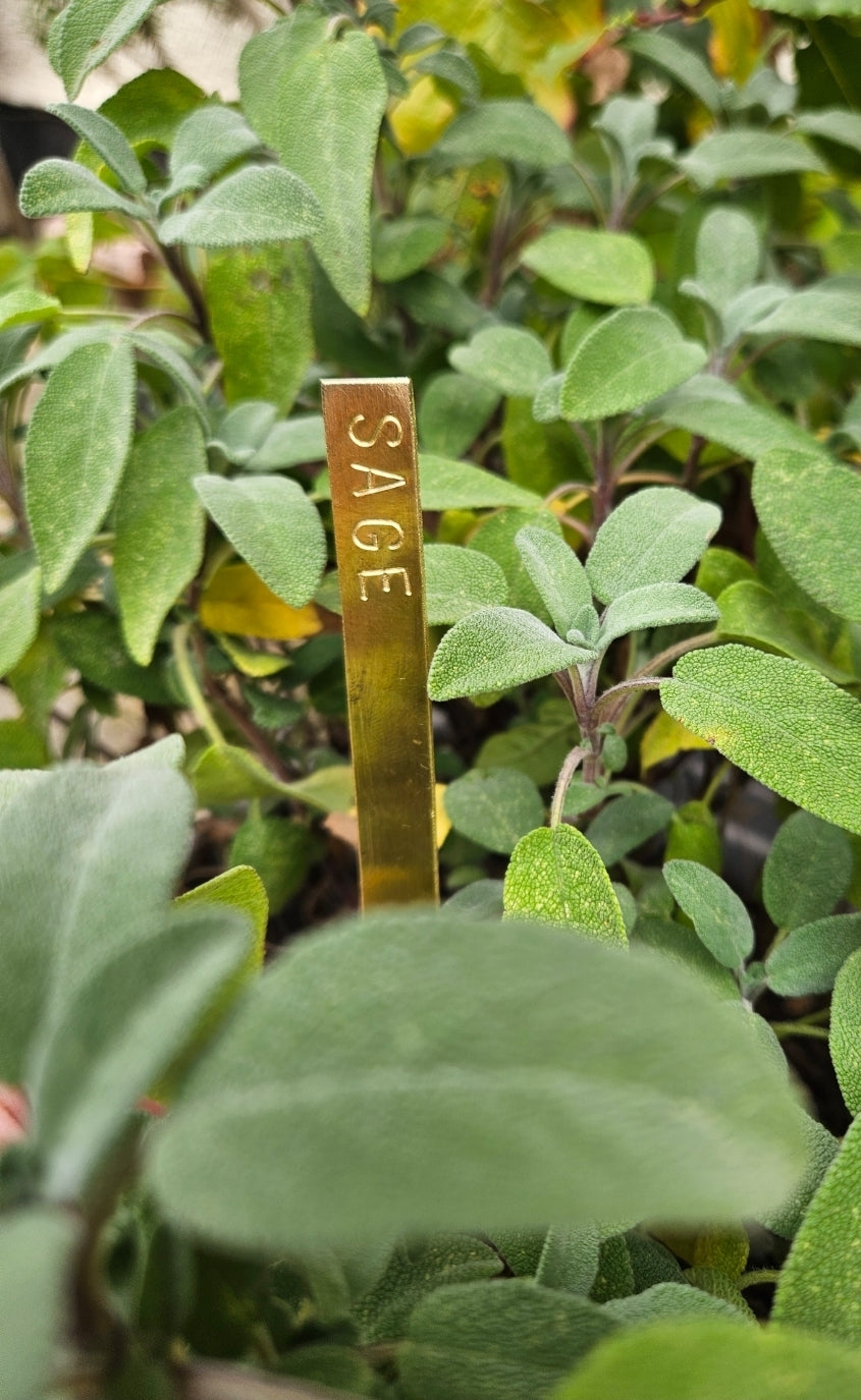Set of 4 Handmade Brass Herb Garden Markers