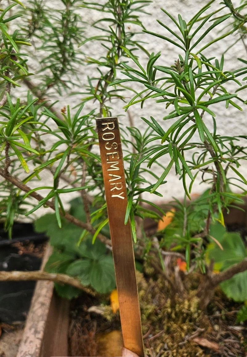 Set of 4 Handmade Brass Herb Garden Markers
